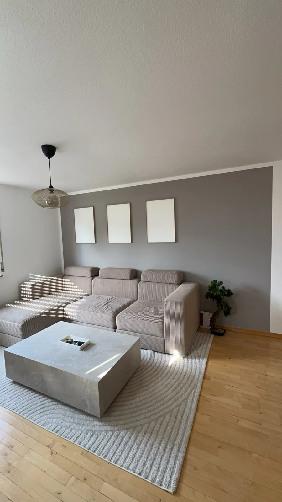 Living area with sofa, coffee table and grey accent wall