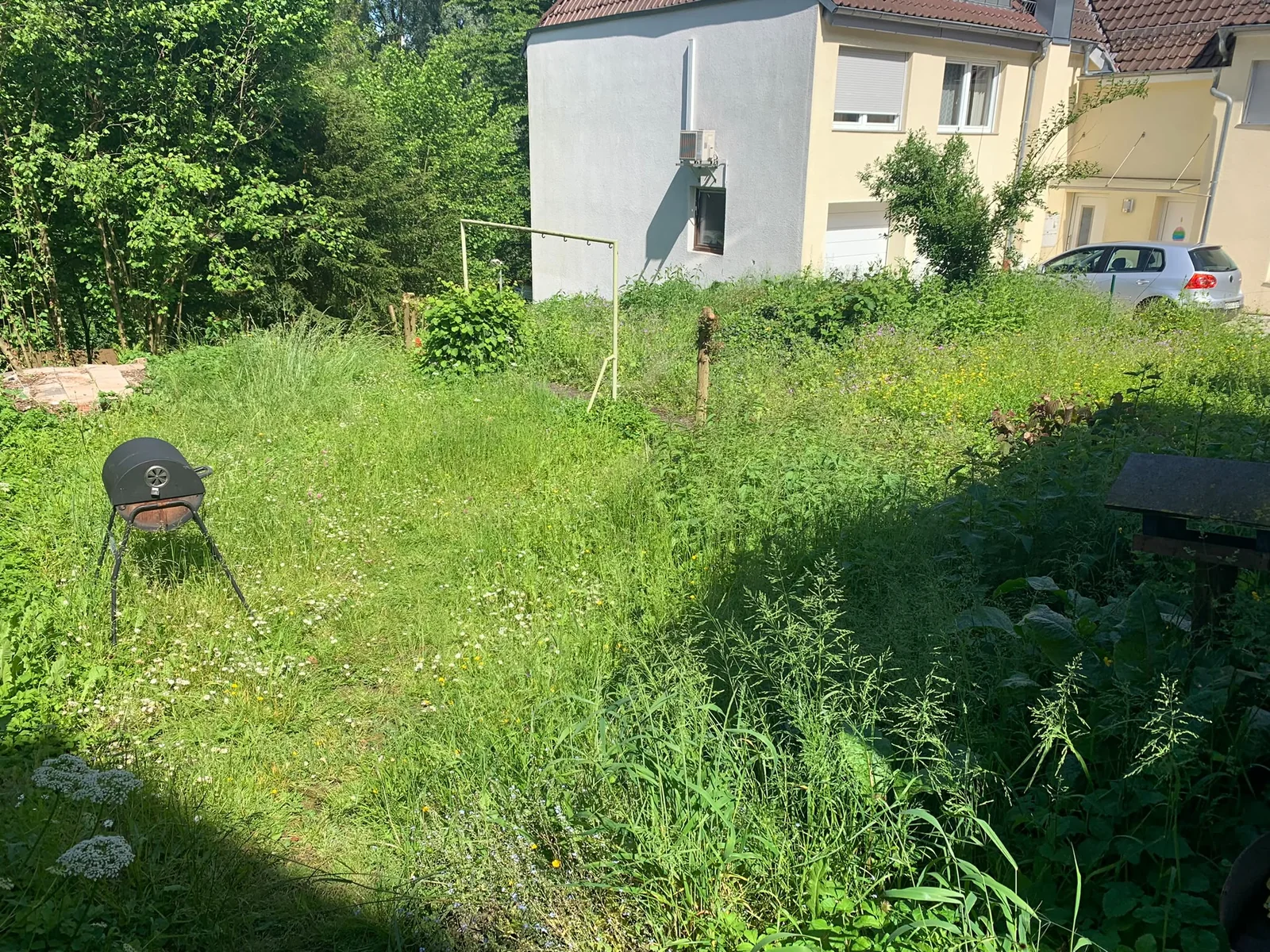 حديقة بعشب طويل ونباتات كثيفة قبل العناية